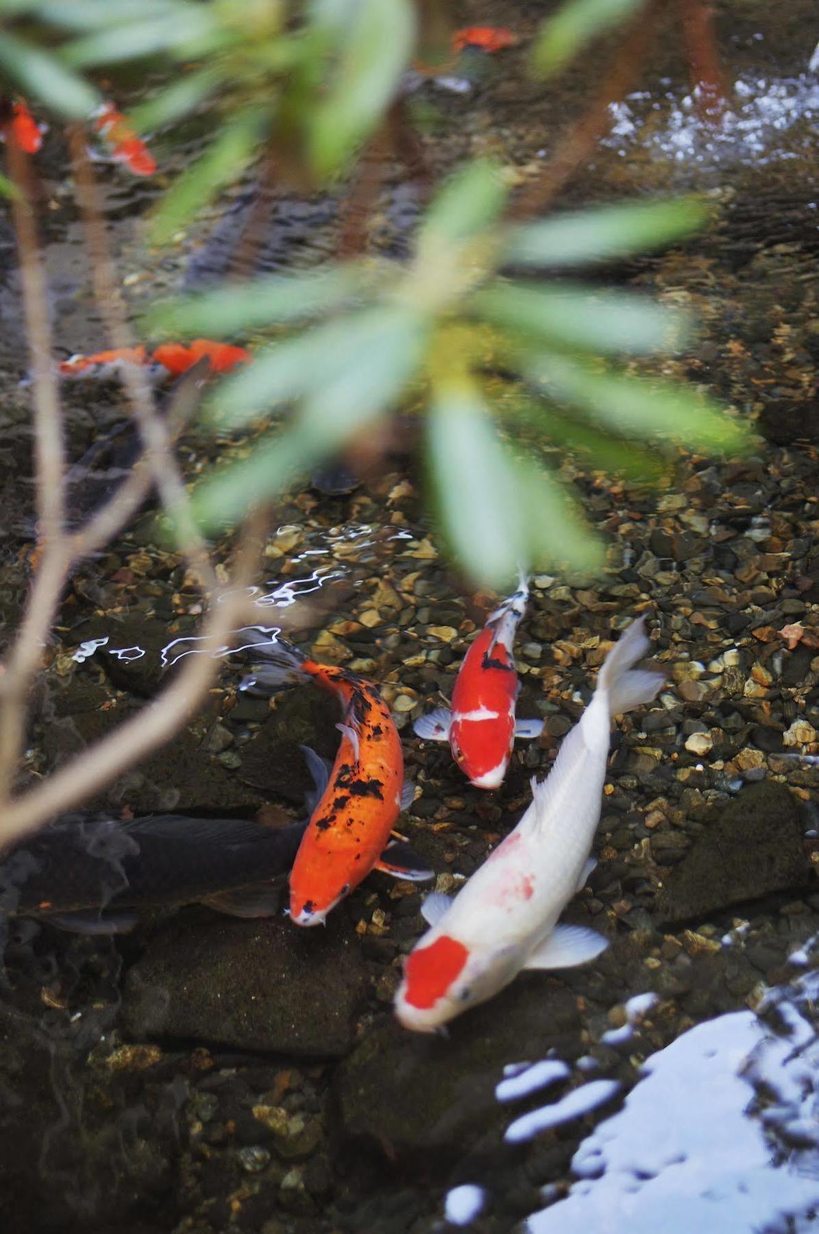 Senjukaku Otel Yamanouchi  Dış mekan fotoğraf